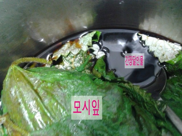 모시칼국수 이미지
