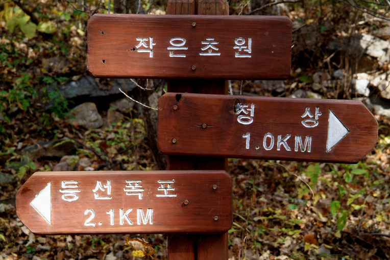 원초원 이미지