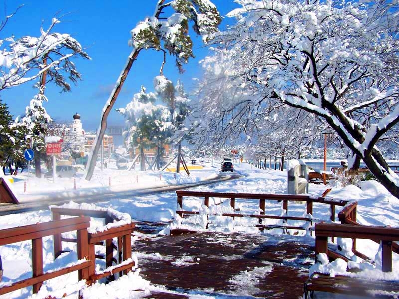 명동다방 이미지