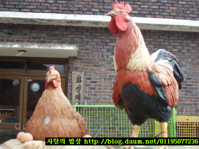 설날의 풍요로움^^