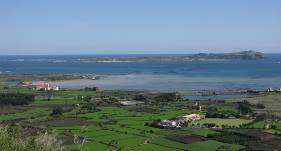 イメージ全体表示