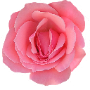 13043F3E4EDD7AEF1B17E3