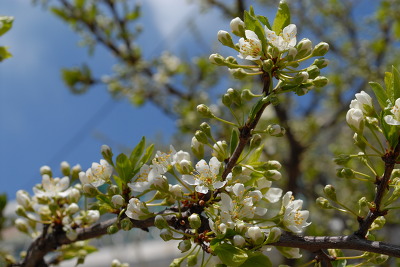 1328B4365170E0362647F7