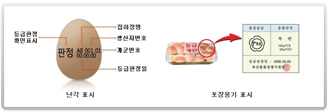싱싱계란 이미지