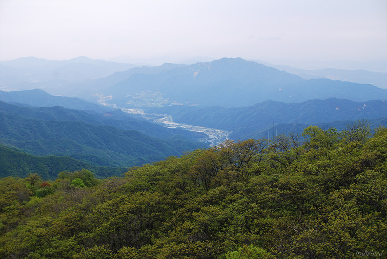 밀린 산행기-5.30 명지산 - 등산 갤러리