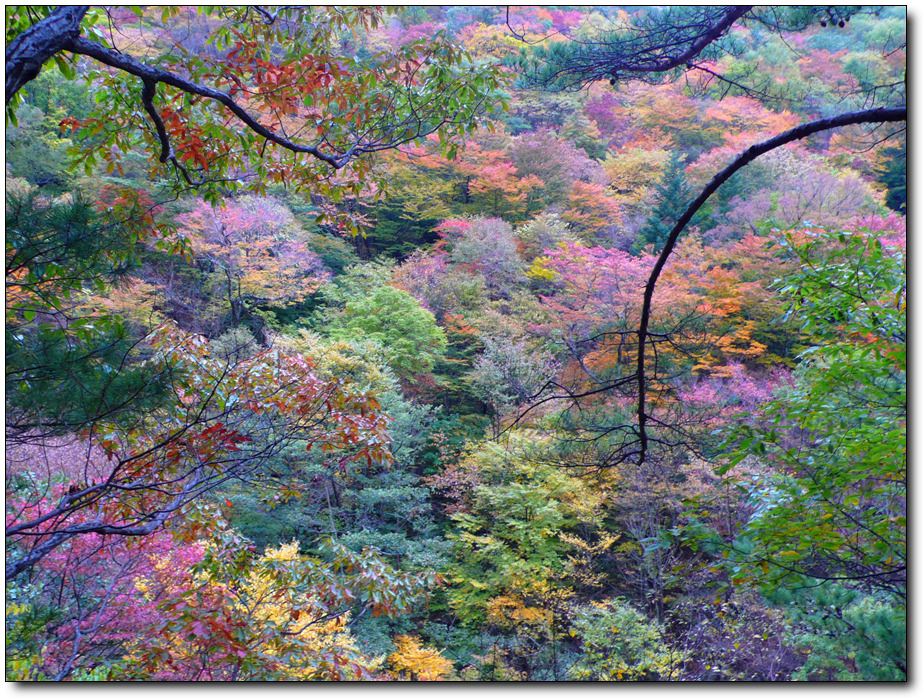 152623174ADD67955FBB8B
