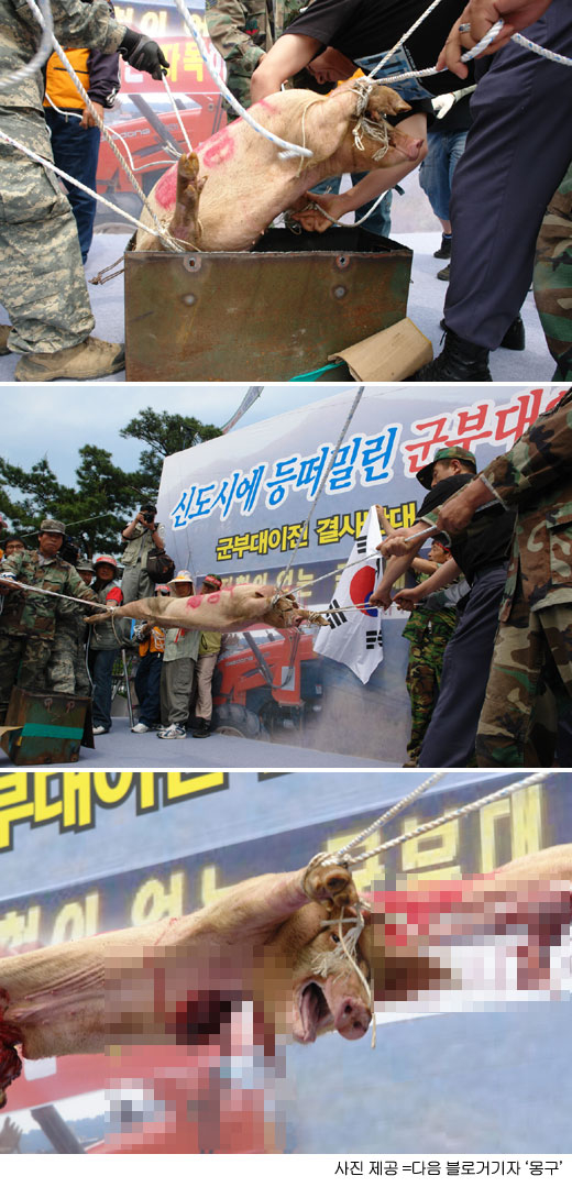 대국축산 이미지