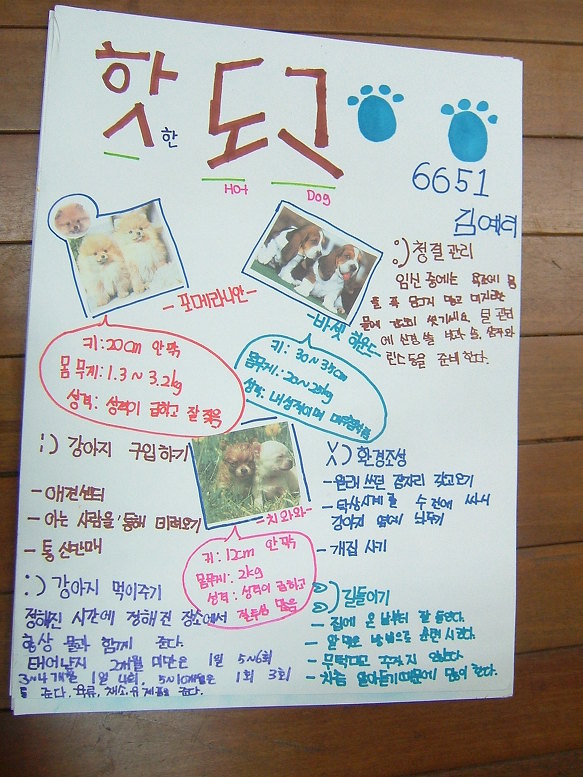 6학년 실과-- 애완동물 기르기 (1)