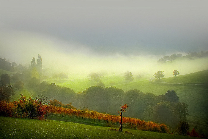 177BD1434FD52C6D61352D