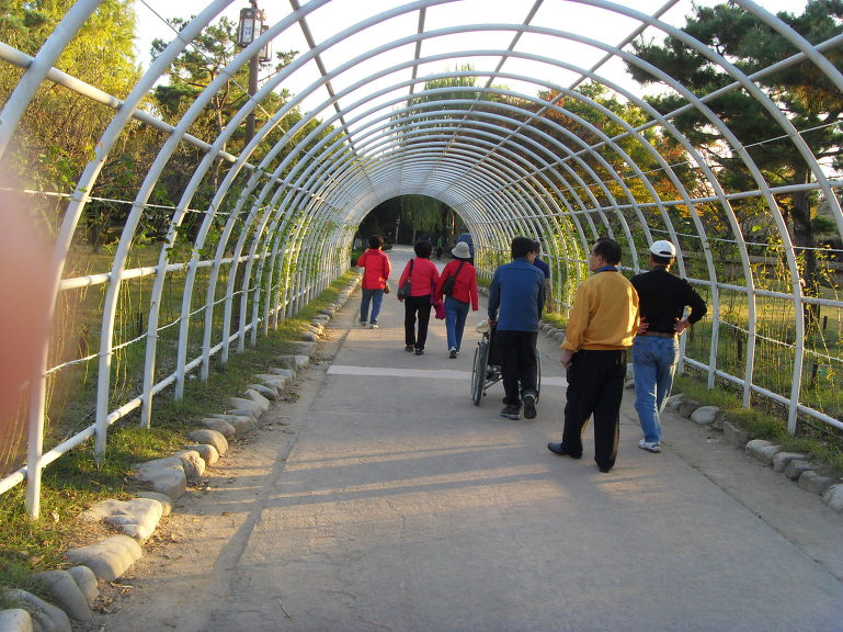 족발의발견 이미지