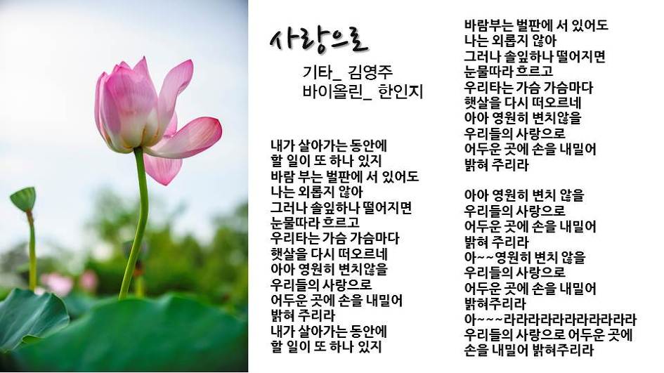 '차꽃, 바람에 머물다' 출판행사 PPT