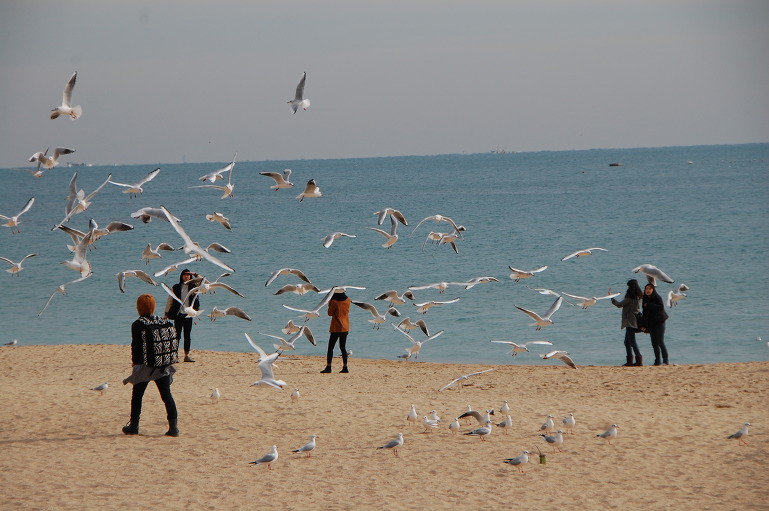 금수복국 해운대 본점  (부산 여행중에)