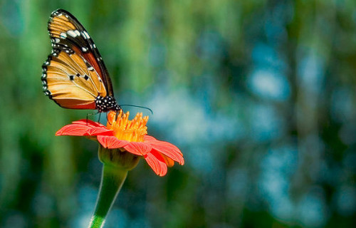 2065CE0E4A1F24B93C851D