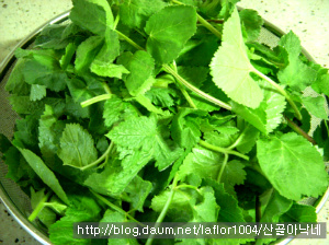 아줌마들의 입맛을 유혹하는 어수리견과된장무침!!~~*^^*