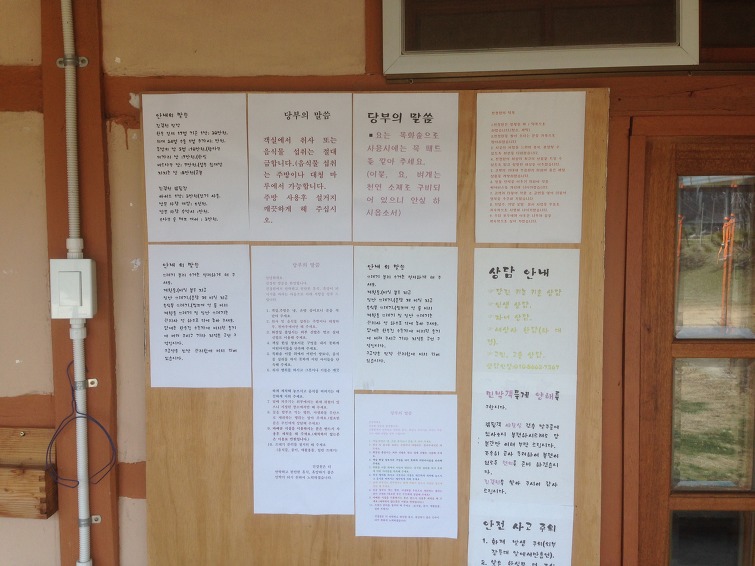 진경원민박캠핑장 이미지