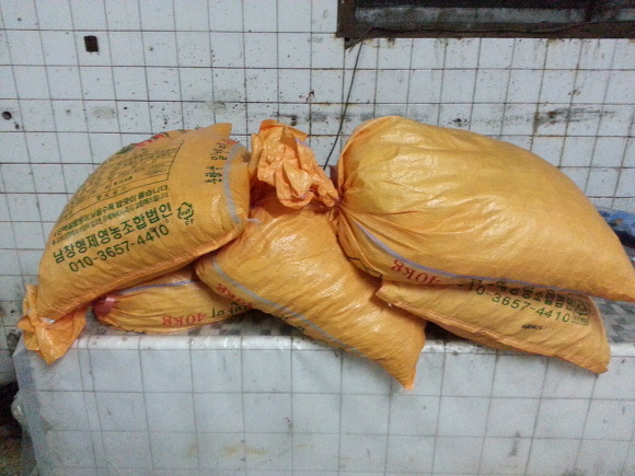 2015년 고경면 해맞이