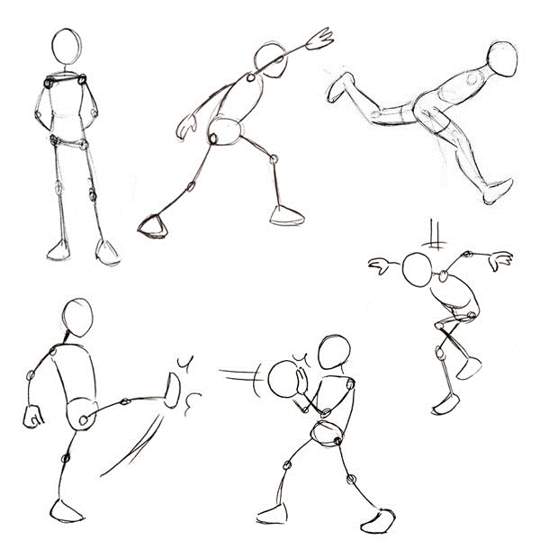 Human Anatomy Fundamentals: Advanced Body Proportions