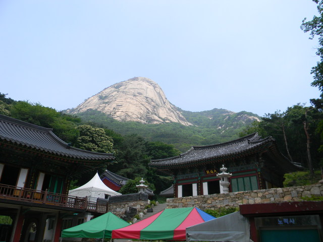 북한산 노적사, 북한동 향나무