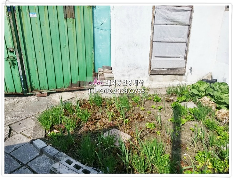 익산옥야초등학교 이미지
