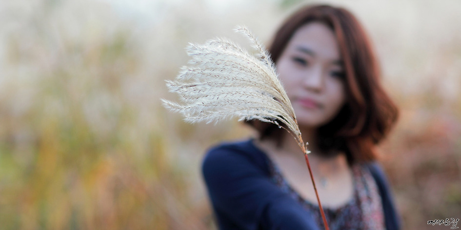 마른 잎 - 신중현과 엽전들(연주곡)