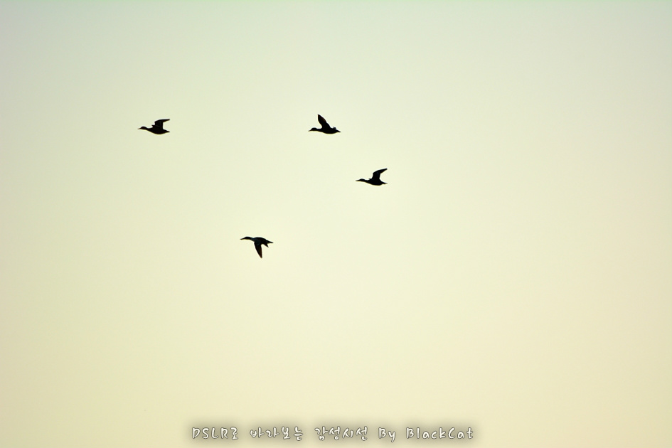 D-1 잊지않아요....잊지말아주세요