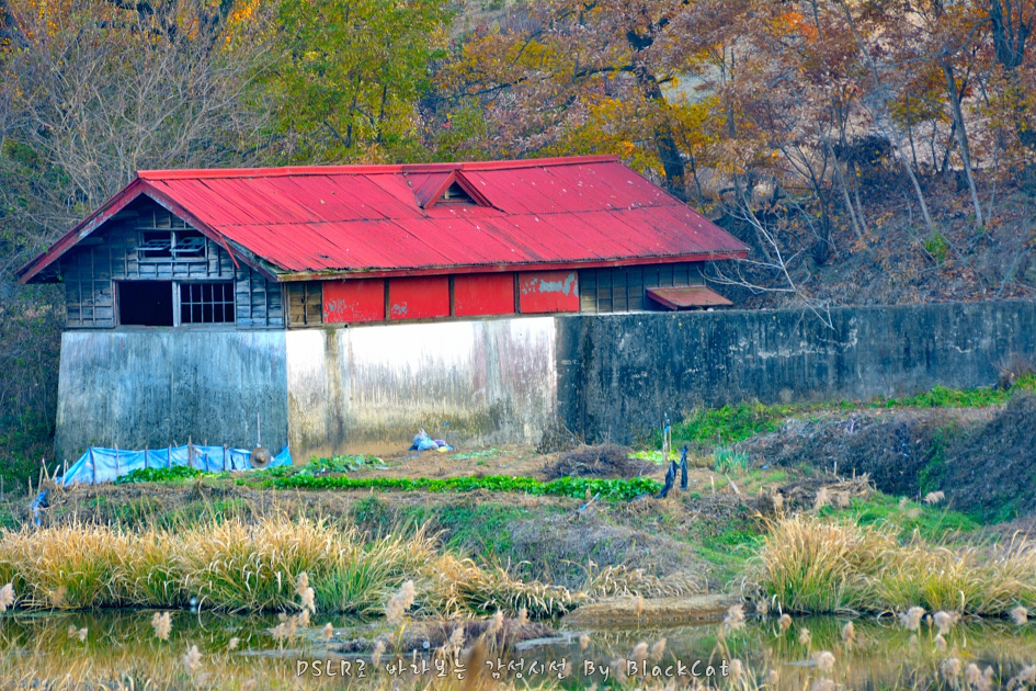 D-1 잊지않아요....잊지말아주세요