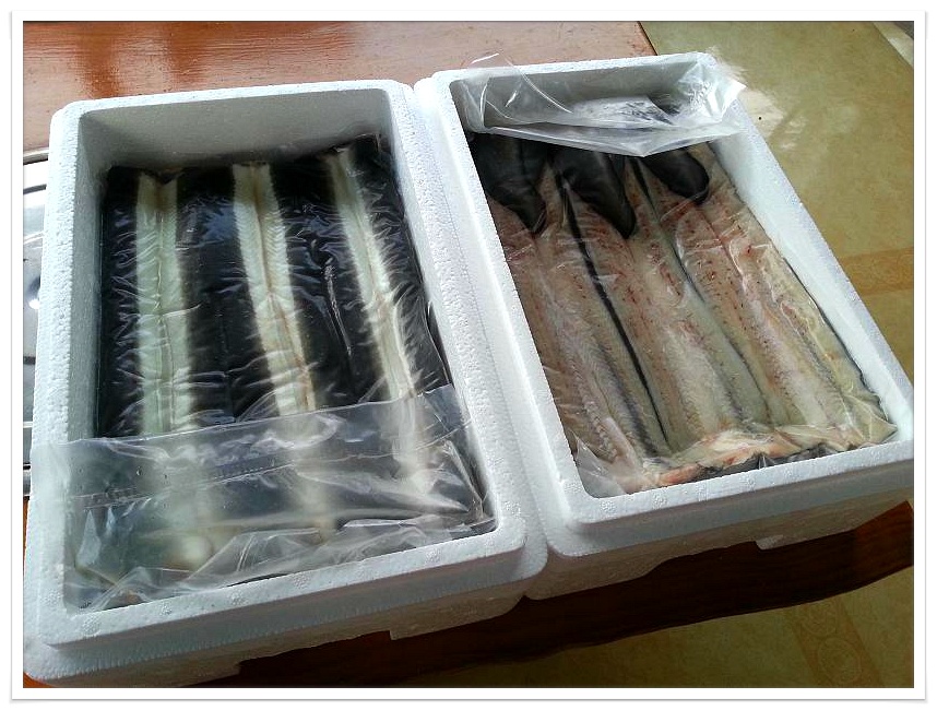 영광민물장어 이미지