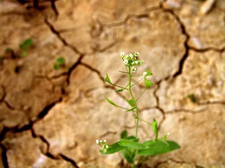 232DA33E590579523C92B5