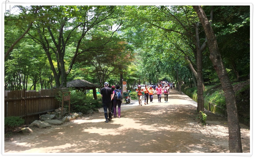 [문경 가볼만한 곳/ 문경여행] 문경새재 과거길(옛길)