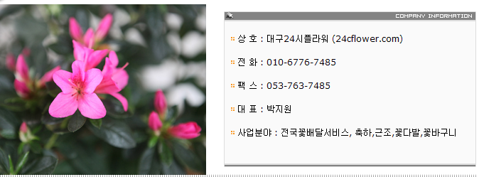 플라워24시 이미지