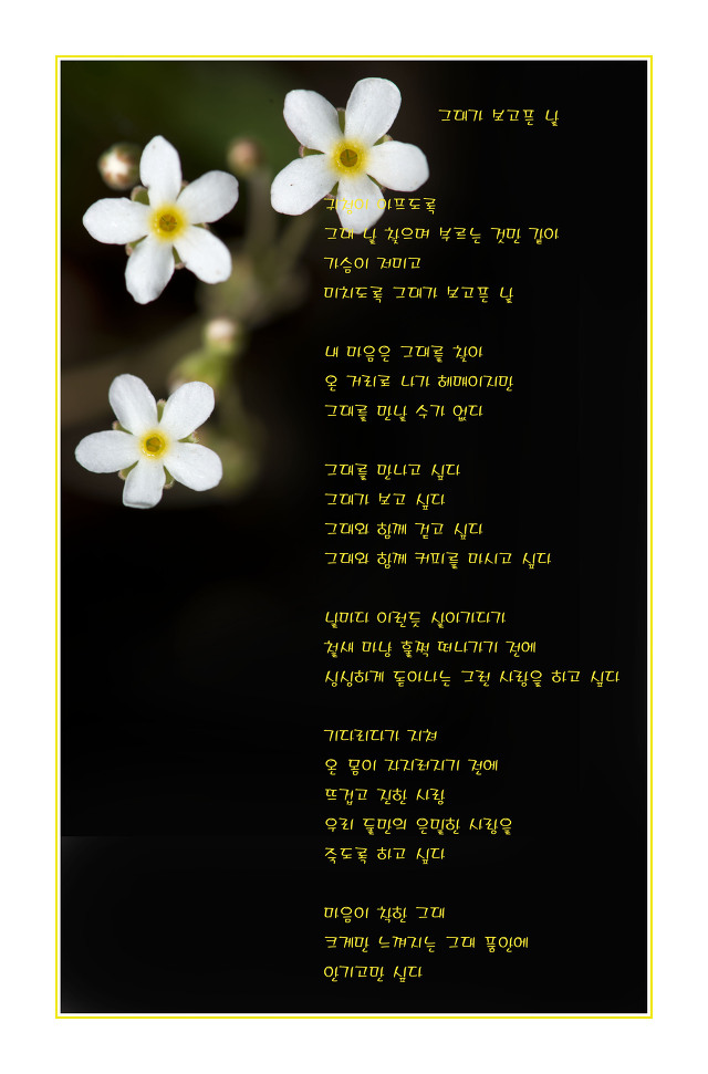 이해인수녀님 .용혜원님 시