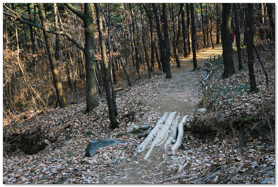앞산 자락길 