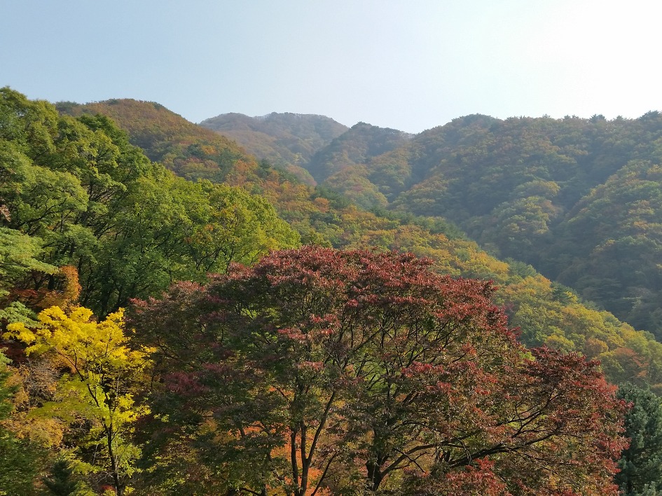 영원환경 이미지