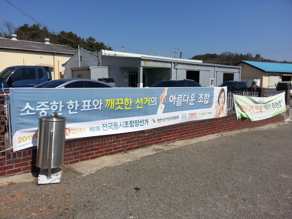 제1회 전국 동시 조합장 선거 결과(영천시)