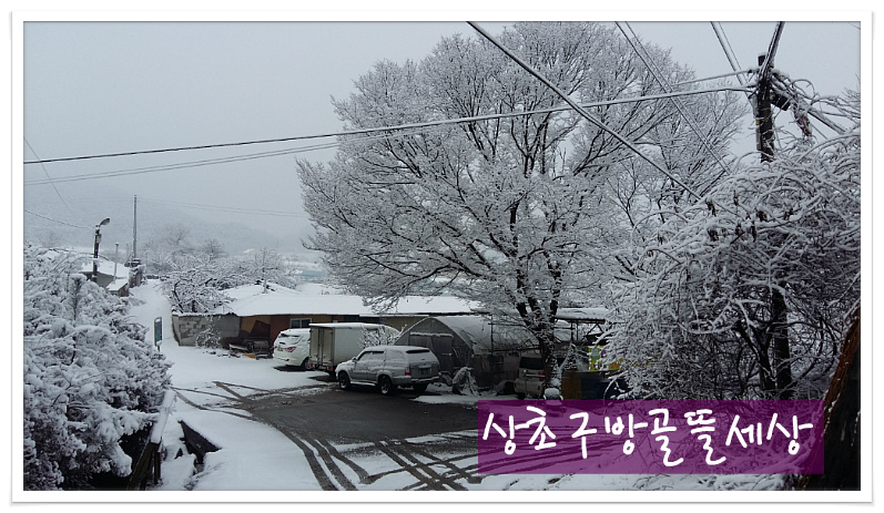 새벽뜰 이미지