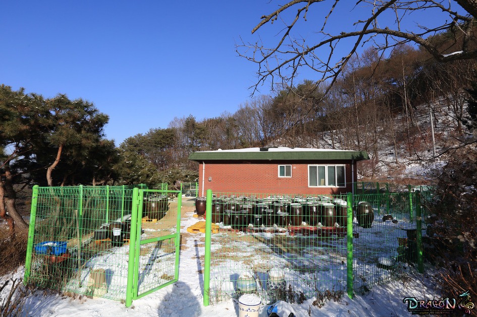 강원도 횡성군 갑천면 구방리 시골집 풍경과 장독대