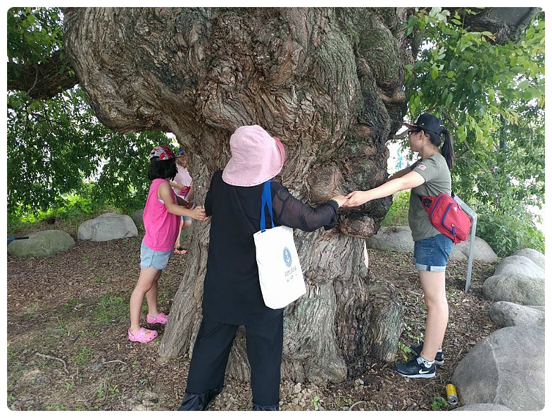 24797F33597AFDEB2F9685