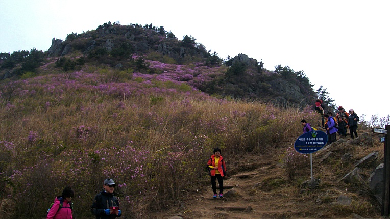 247CD447552A4AC32368EE