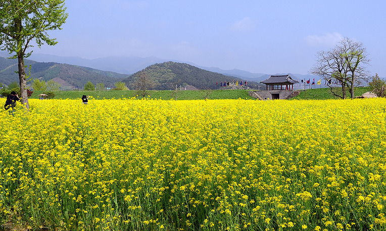동산농장 이미지