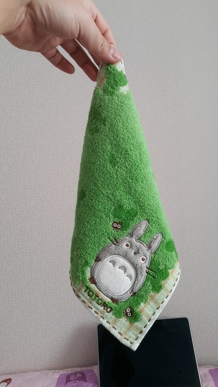 251F9C3C58ABE22F060733