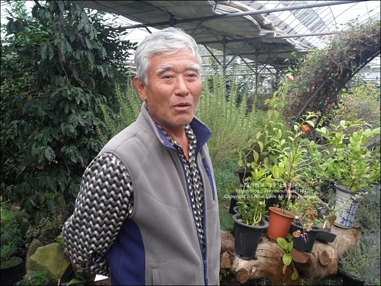 홍천 여행 숨은 명소 아로마 허브동산