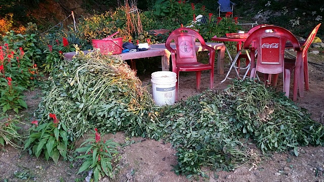 2015년 농사를 위한 2014년의 농사일지