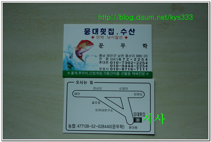 태안 몽대횟집
