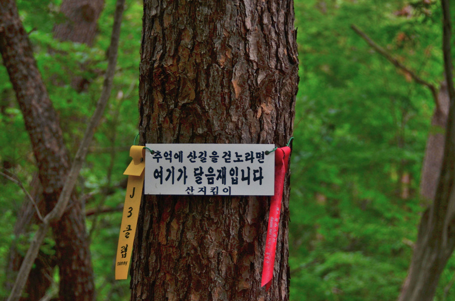 <498차>향로산 해발 976미터 등반