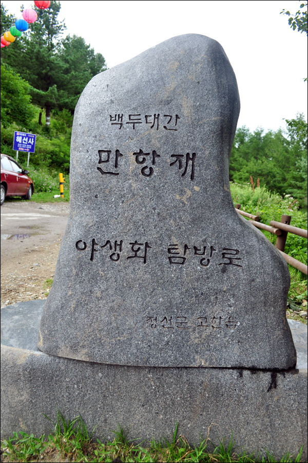 해바라기화원 이미지