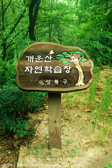 개운산 자연학습장 이미지