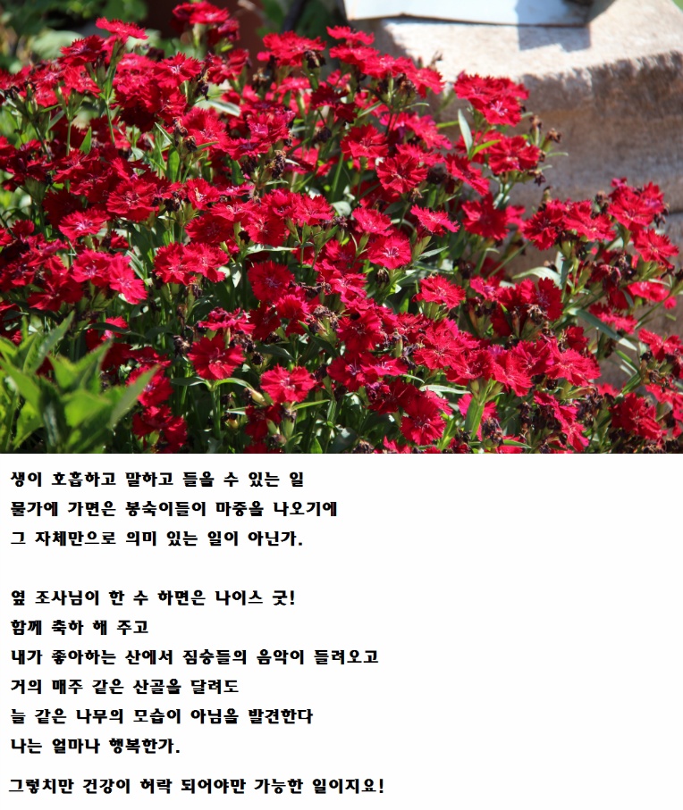 256A174D539444670EDB6E