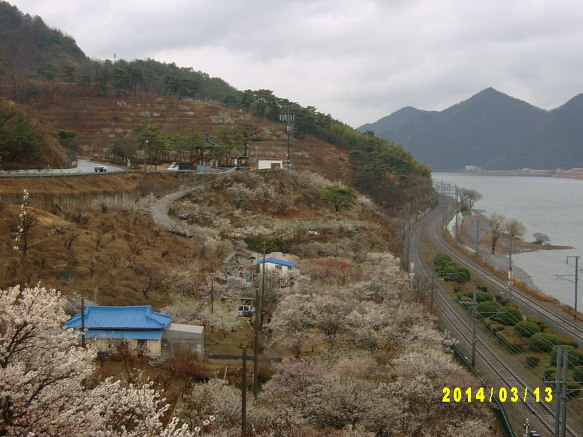 원동 이미지