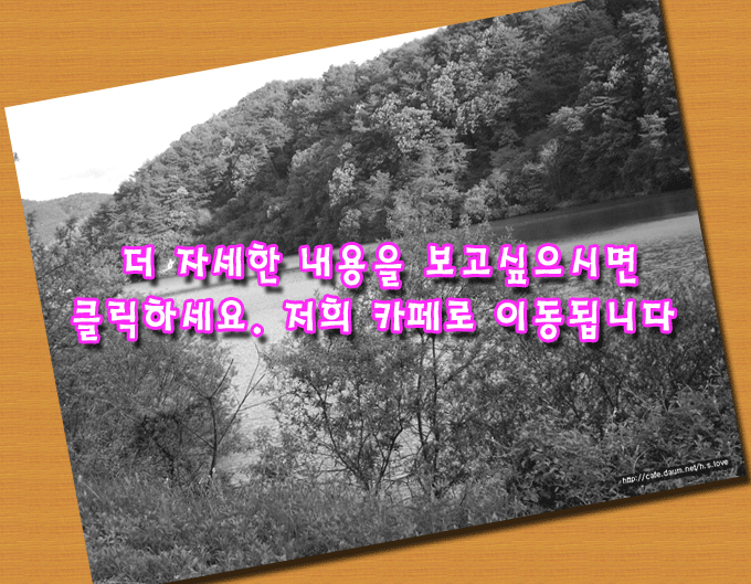 서누인테리어 이미지