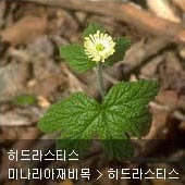 꽃이름 찾기